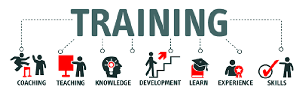 Training Infographic